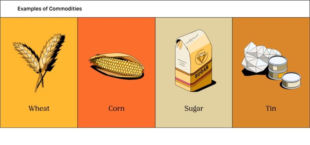 Sự Khác Biệt Giữa Commodity, Cargo Và Goods Trong Ngành Logistics