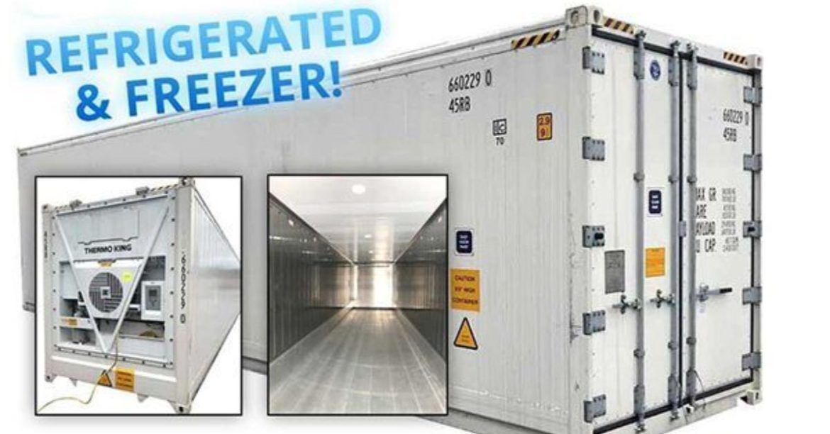 Container Lạnh Là Gì?