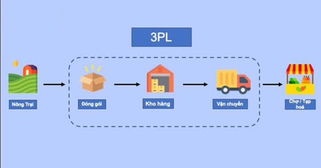 Tìm Hiểu 5 Cấp Độ PL Trong Logistics Và Cách Lựa Chọn Mô Hình Phù Hợp