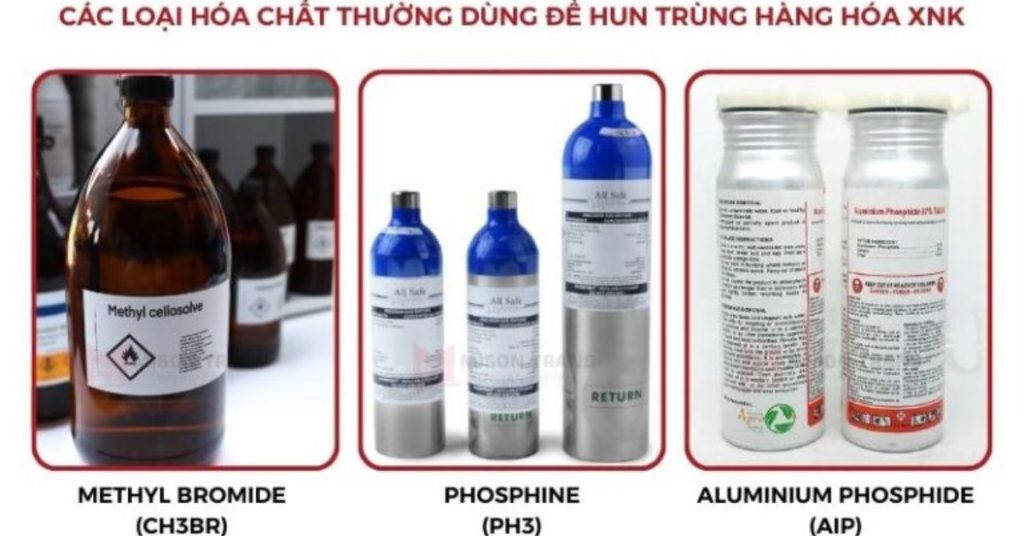Hun Trùng Là Gì? Tìm Hiểu Quy Trình Và Lợi Ích Của Dịch Vụ Hun Trùng Hàng Hóa