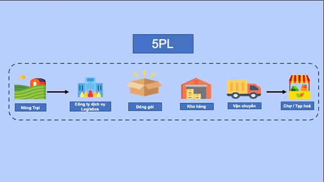 Tìm Hiểu 5 Cấp Độ PL Trong Logistics Và Cách Lựa Chọn Mô Hình Phù Hợp