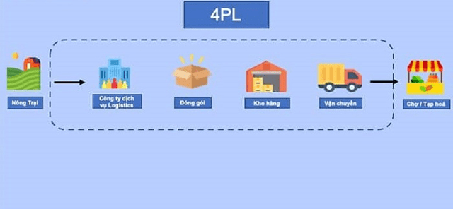 Tìm Hiểu 5 Cấp Độ PL Trong Logistics Và Cách Lựa Chọn Mô Hình Phù Hợp